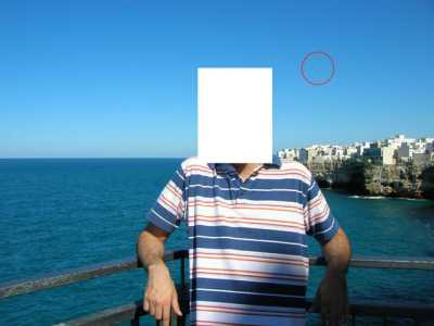 Polignano 9.08.2005 (uccelli)